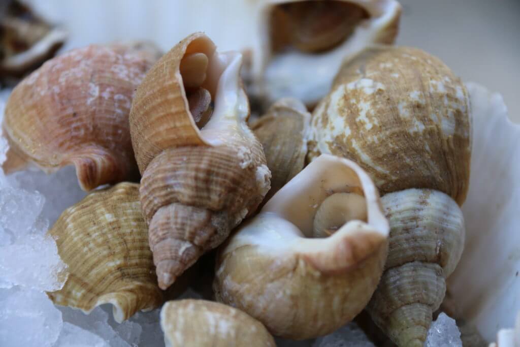 Service fruits de mer