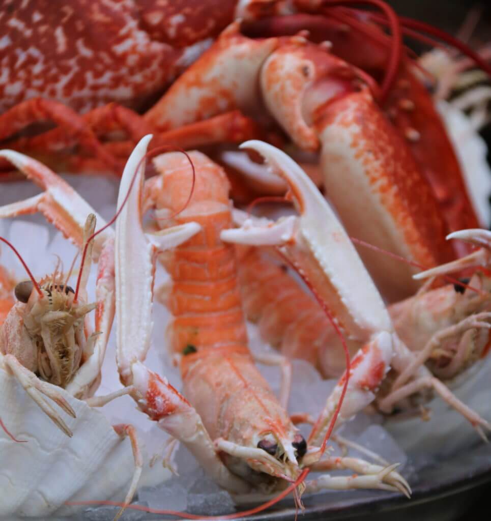 Fruits de mer